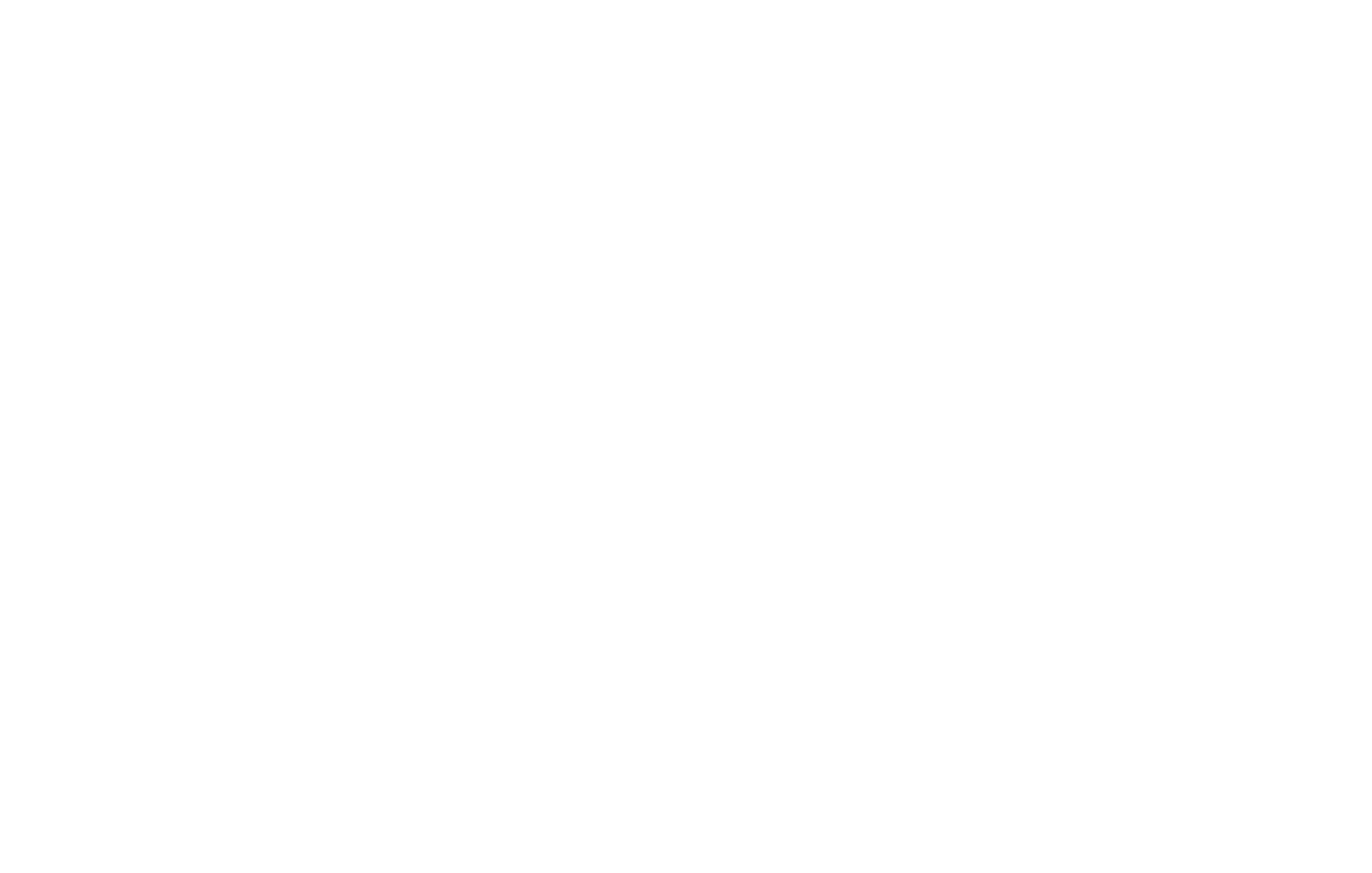 LVPEI